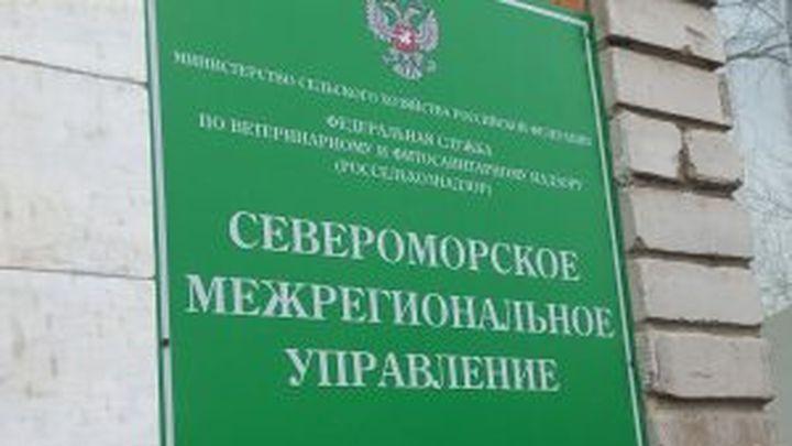 В Мурманской области снизилось количество фальсификата на продовольственном рынке